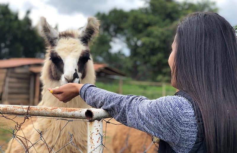 Why High Net Worth Families Need More Than Just A Bookkeeper A shot of a woman feeding an animal.