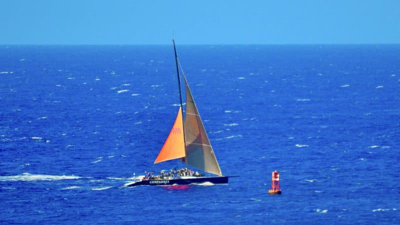 A Letter From the CEO_Sailing Boat