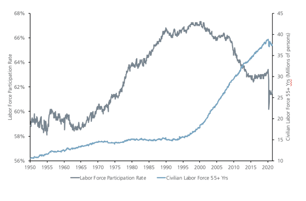 A chart showing the participation rates and demographics.