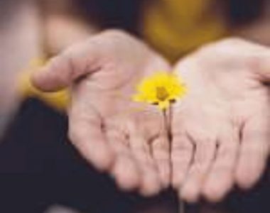 6 Considerations Before Starting a Private Foundation