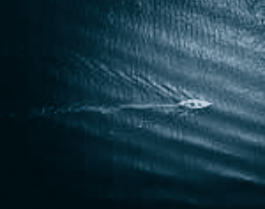 Beyond the Sport Translating Sailing Values into Business
