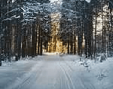 Portfolio Management and a Winter Chill